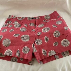 Adorable loft Women’s shorts